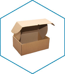 Die-cut corrugated packaging box